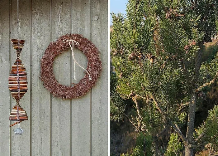 0186-romo-egedesminde-3 Σπίτι διακοπών *